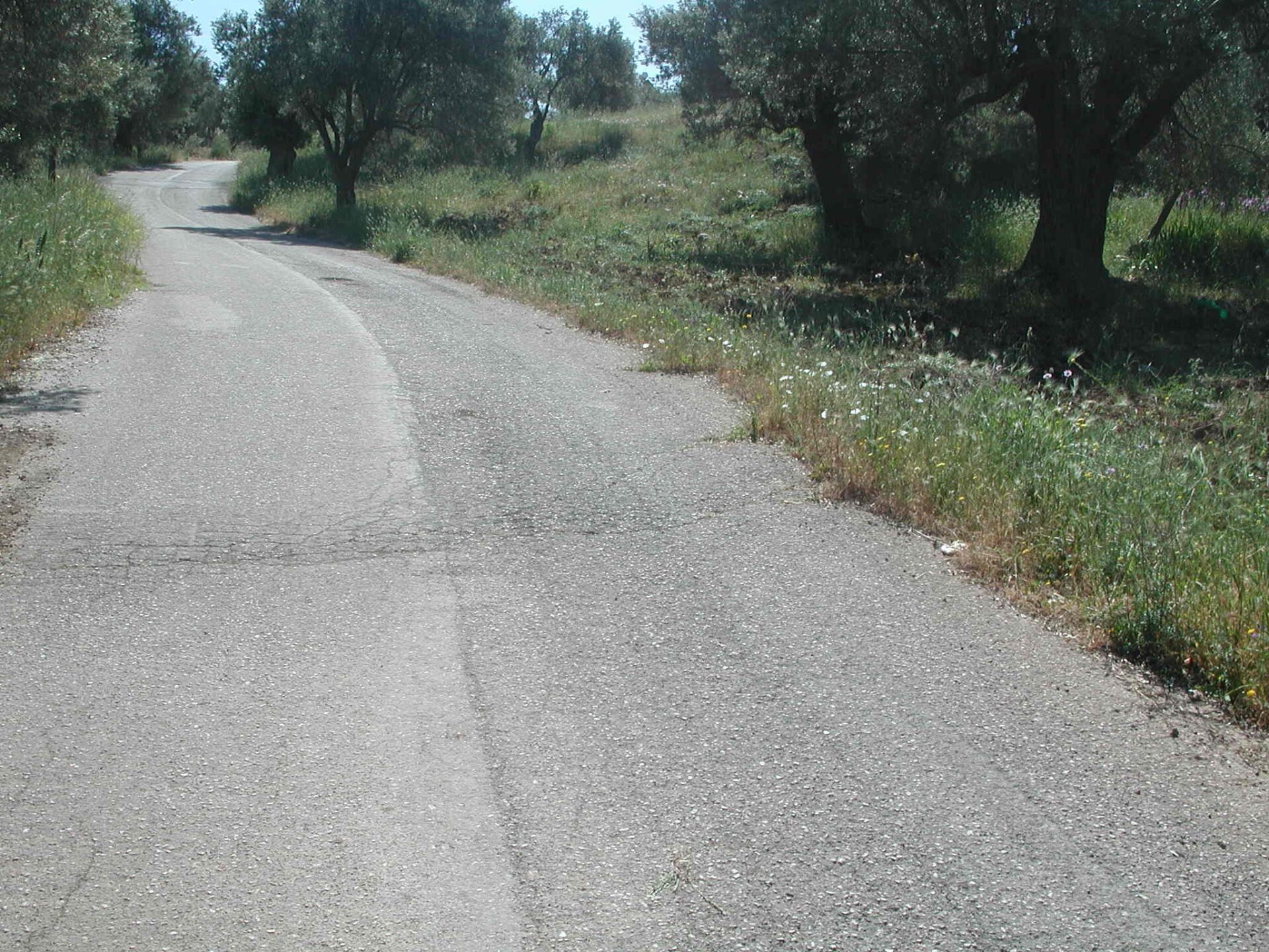 Υπηρεσίες Γεωτεχνικού Συμβούλου για την Παρακολούθηση Λειτουργικότητας του Ταινιόδρομου Μεταφοράς Μεταλλεύματος της ΛΑΡΚΟ Α.Ε. στα Πολιτικά Εύβοιας