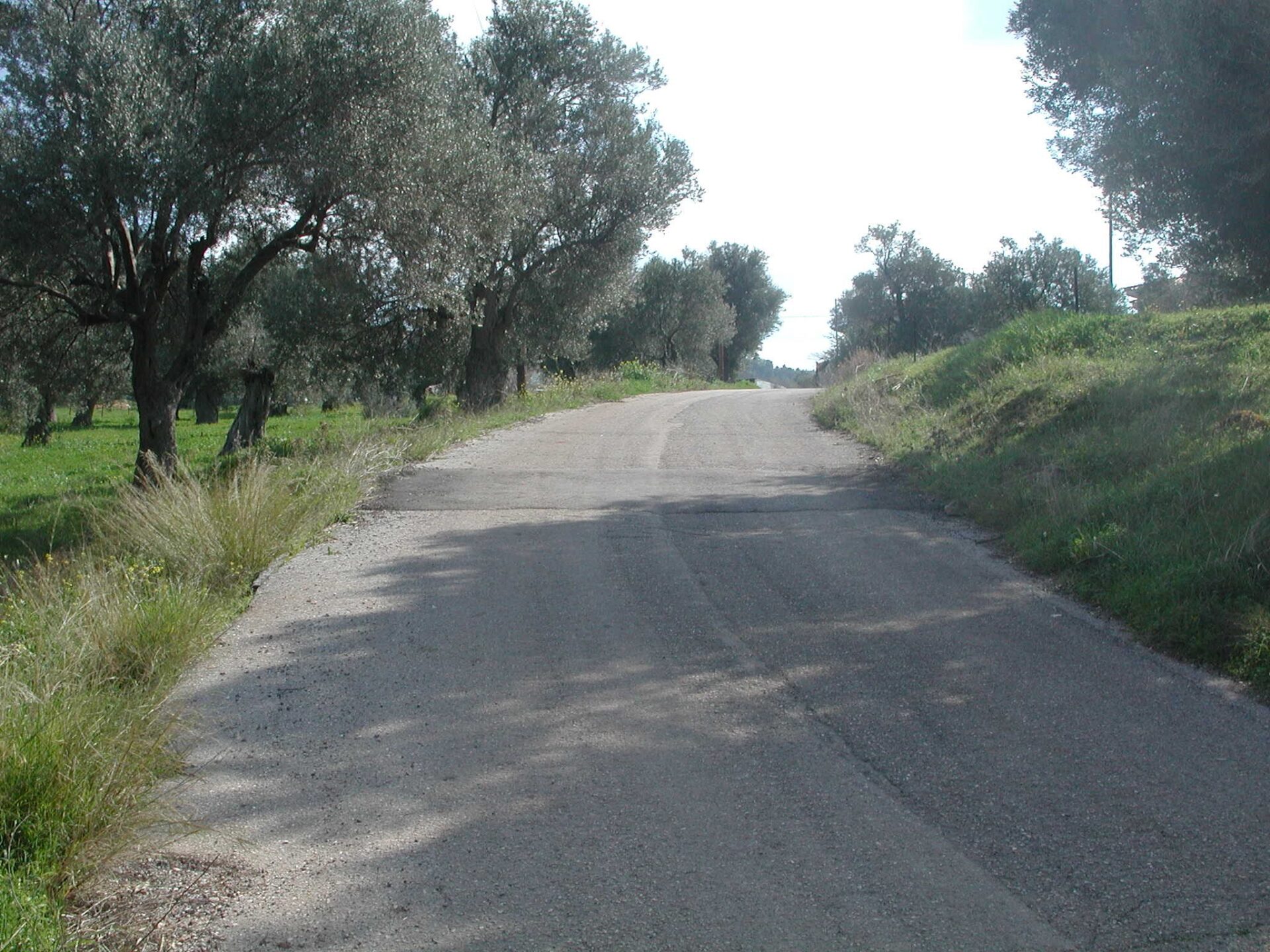 Υπηρεσίες Γεωτεχνικού Συμβούλου για την Παρακολούθηση Λειτουργικότητας του Ταινιόδρομου Μεταφοράς Μεταλλεύματος της ΛΑΡΚΟ Α.Ε. στα Πολιτικά Εύβοιας