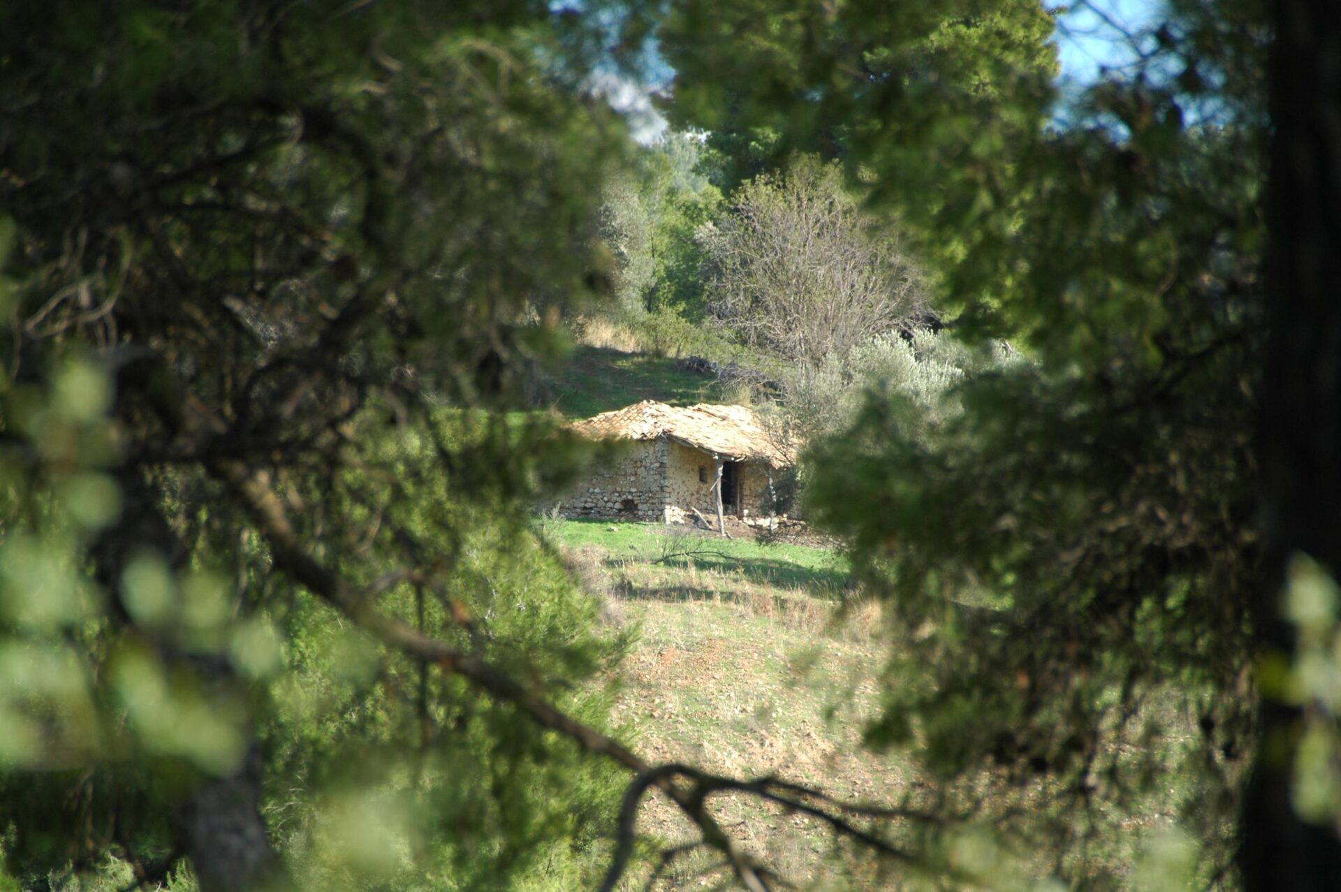 Μελέτη Οδικού Άξονα "Τρίπολη - Βυτίνα - Αρχαία Ολυμπία". Τμήμα: "Λούβρο - Τριποταμιά - Κόμβος Ηραίας και παράκαμψη Σταυροδρομίου"