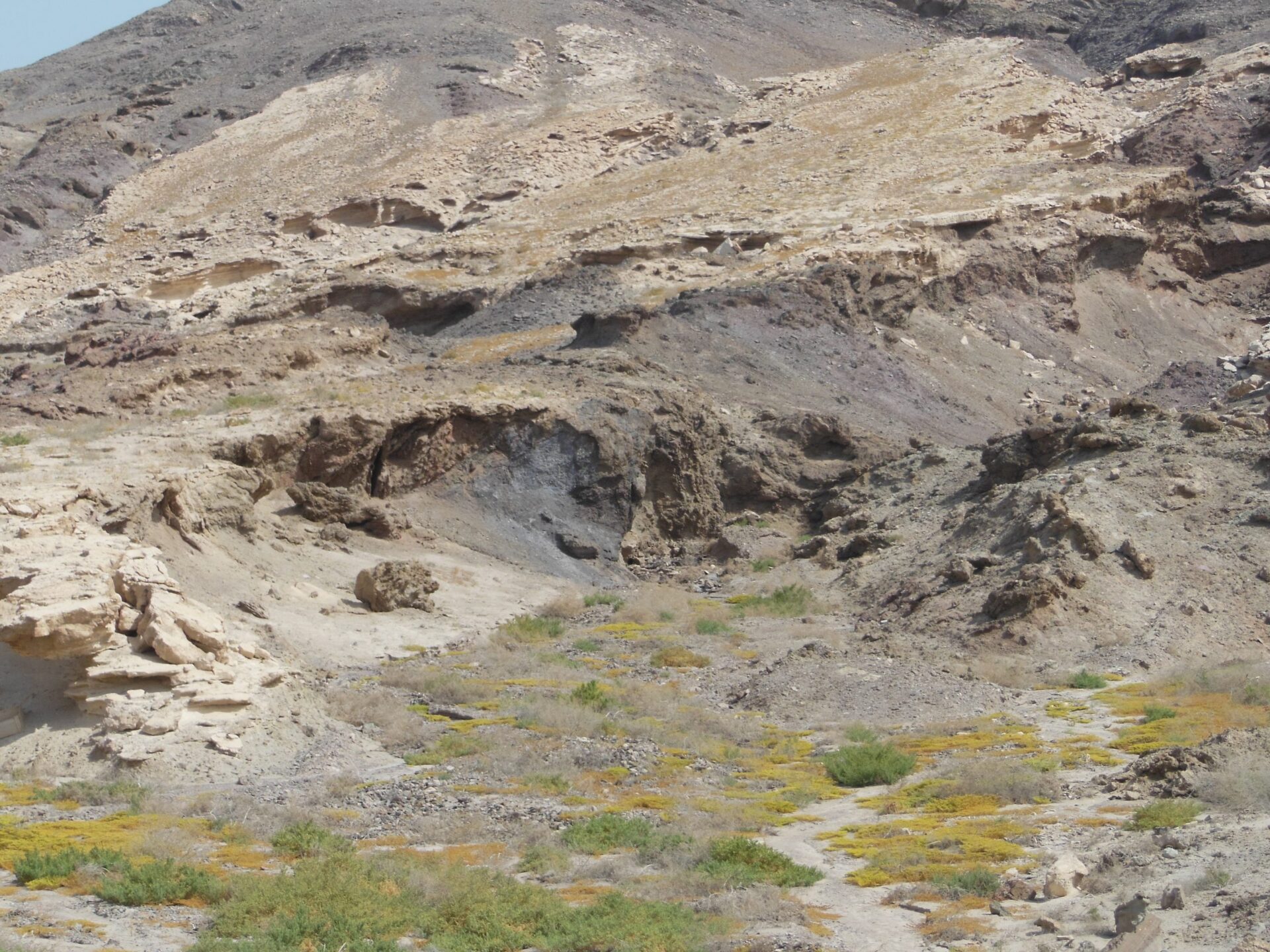 Ανάπτυξη του Κοιτάσματος SARB, Νήσος Zirku (Η.Α.Ε.) – Προκαταρκτική Προετοιμασία της Περιοχής – Γεωλογική και Γεωτεχνική Υποστήριξη, Μελέτη Σχεδιασμού και Παρακολούθηση Κατά την Κατασκευή